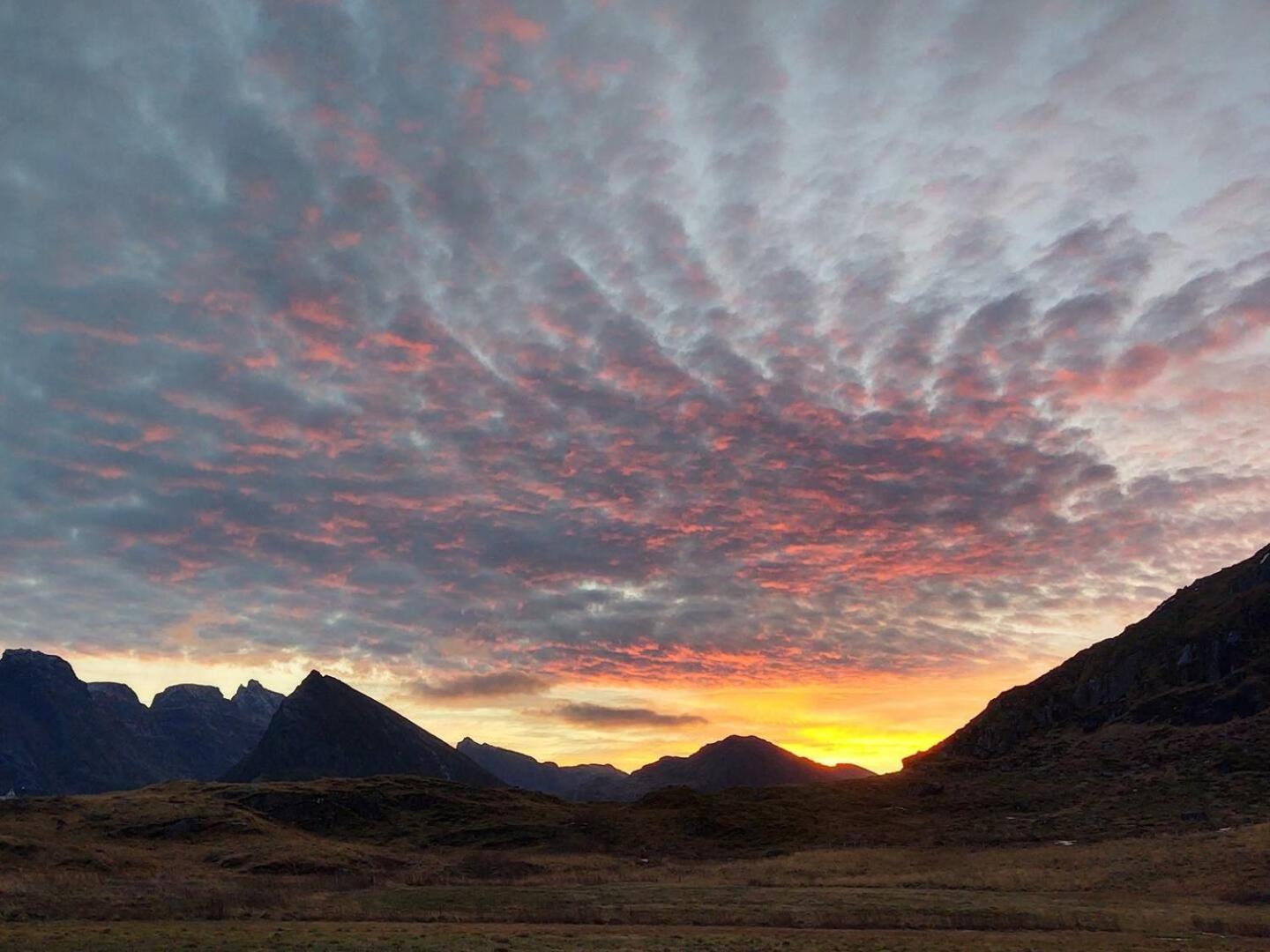 Fredvang Farm House - Lofoten المظهر الخارجي الصورة